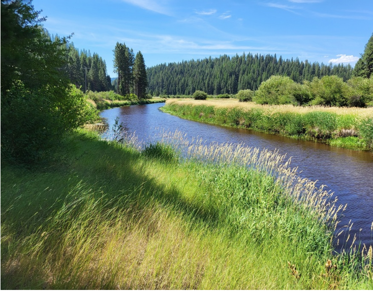 On the Little Salmon River. Sure looks like a place the Trump crew would like to do some drilling. 