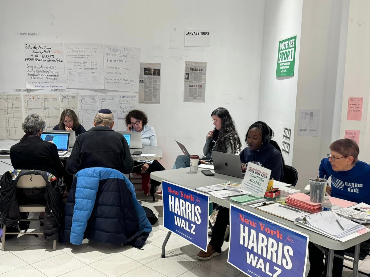 My deep blue community created its own DIY 2024 Democratic Victory